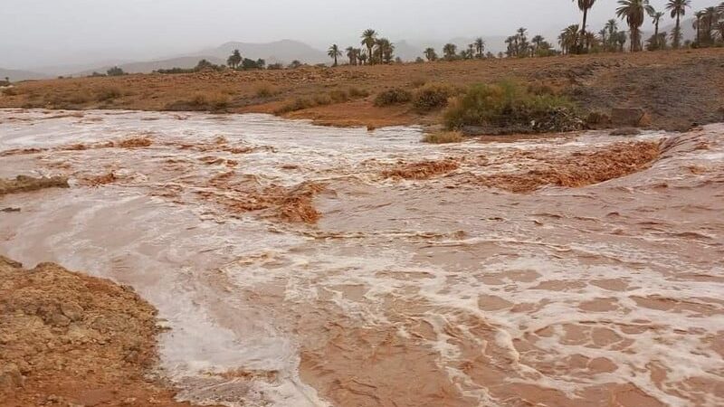 حصيلة مؤقتة: 11 حالة وفاة و9 مفقودين جرّاء الأمطار القوية بعدد من الأقاليم