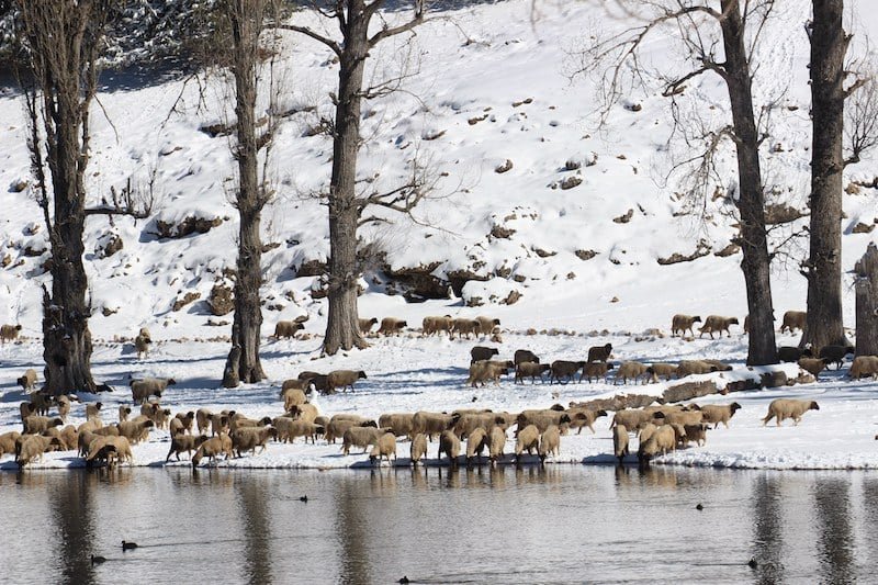 توقعات طقس اليوم الأحد