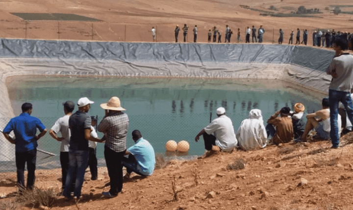 مصرع 3 أطفال غرقا بحوض مائي بتارودانت