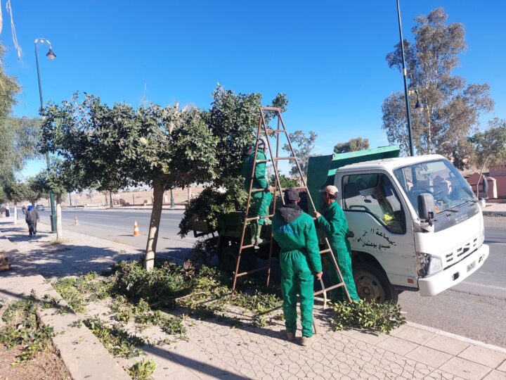 جماعة سيدي بوعثمان تطلق حملة لتشذيب الأشجار