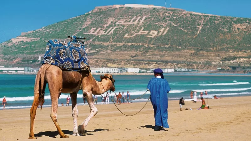 رغم انتعاش السياحة..بطالة خريجي معاهد التكوين الفندقي تصل للبرلمان