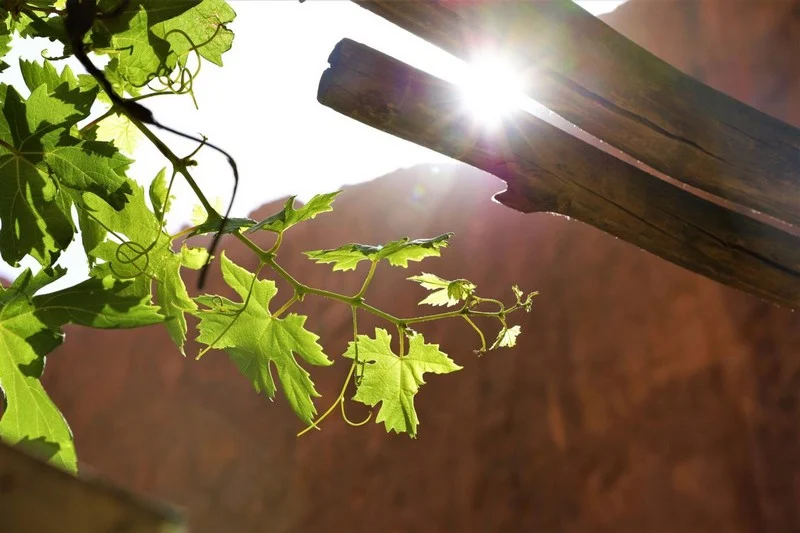 توقعات طقس اليوم الثلاثاء