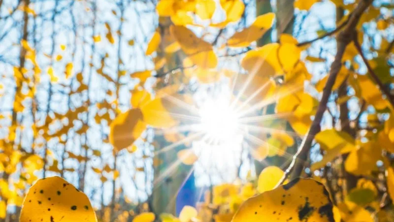 توقعات طقس اليوم الجمعة