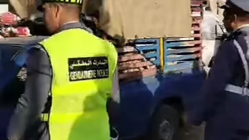 زعيم “لفراقشية” نفذ حوالي 200 سرقة ودرك ابن جرير يواجهه مع 18 ضحية