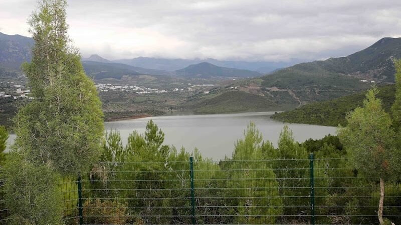 توقعات طقس اليوم الثلاثاء