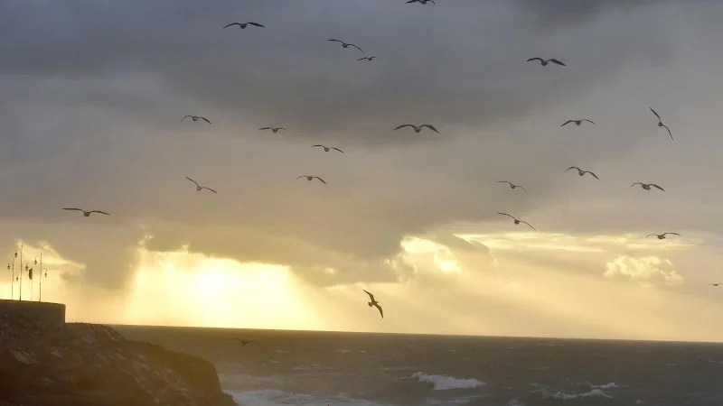 توقعات طقس اليوم الأحد