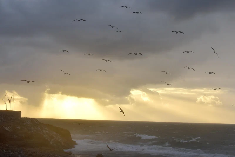 توقعات طقس اليوم الأحد