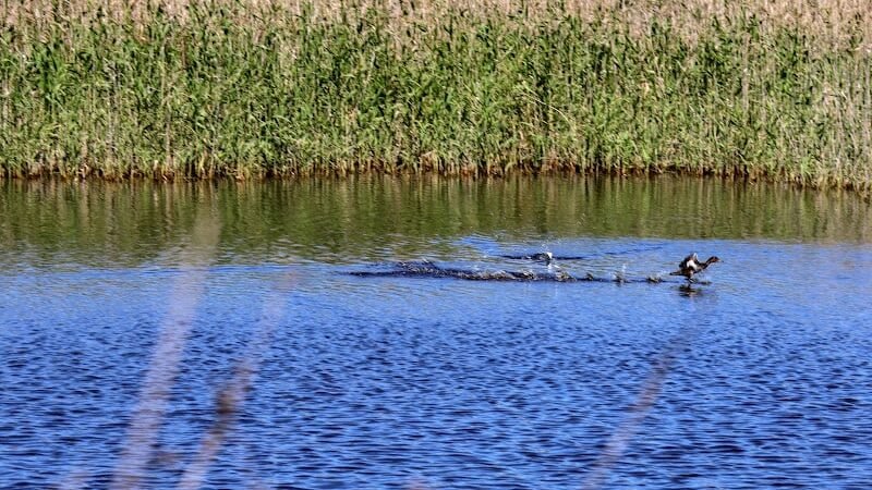 توقعات طقس اليوم الخميس