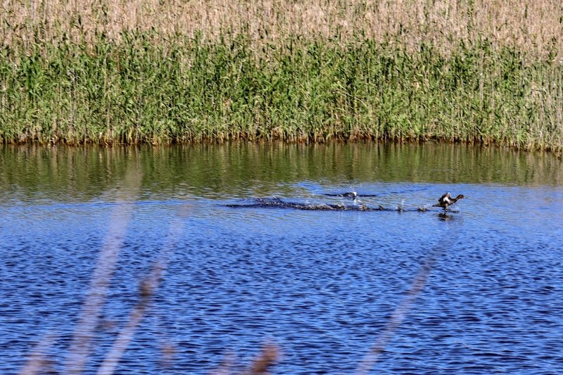 توقعات طقس اليوم الخميس