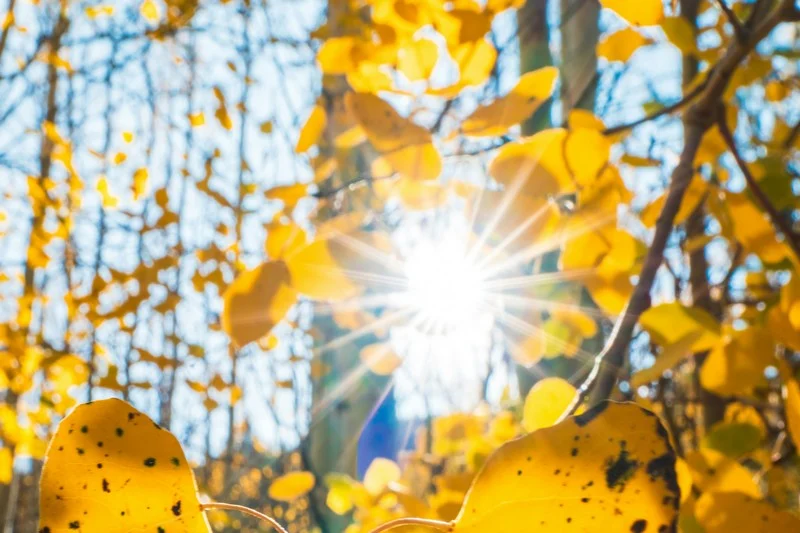 توقعات طقس اليوم الخميس