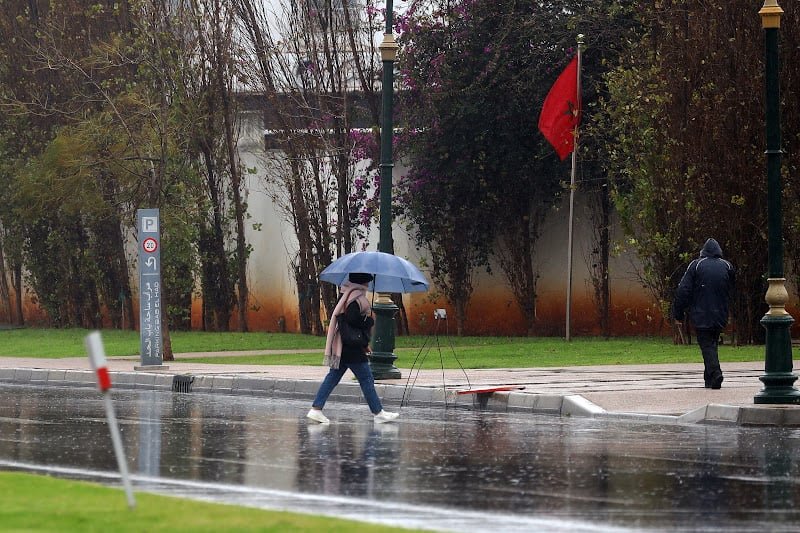 توقعات طقس اليوم الأربعاء