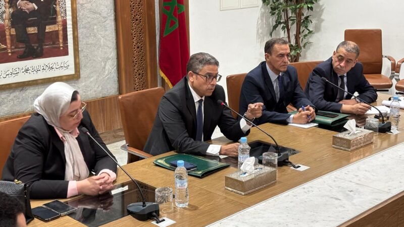 إحداث خلية لتتبع أشغال النظافة والإنارة ومواجهة الكلاب الضالة بمراكش