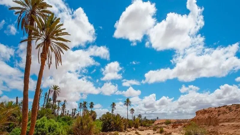 توقعات طقس اليوم الجمعة