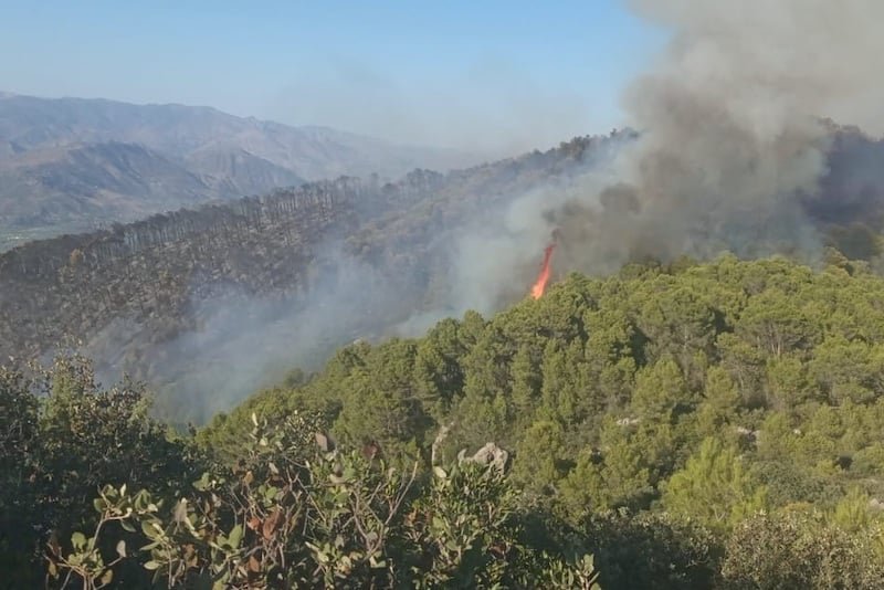 المغرب يخمد 8 حرائق بغابات في يوم واحد