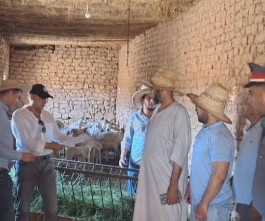 عامل قلعة السراغنة يشرف على إحصاء الماشية من جماعة الهيادنة