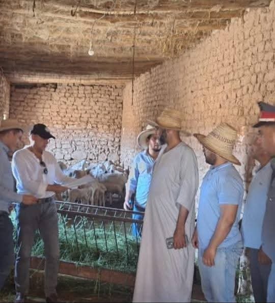 عامل قلعة السراغنة يشرف على إحصاء الماشية من جماعة الهيادنة