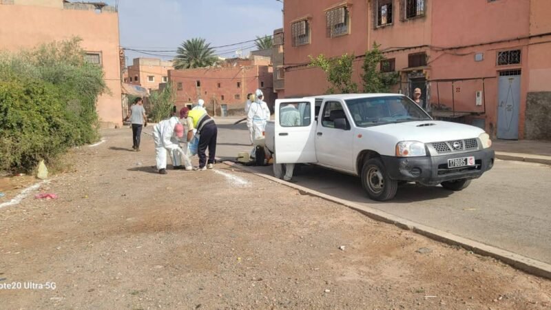 جماعة قلعة السراغنة تطلق حملة ميدانية لمكافحة الحشرات