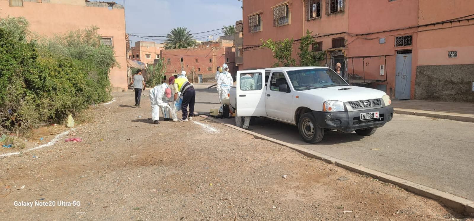 جماعة قلعة السراغنة تطلق حملة ميدانية لمكافحة الحشرات