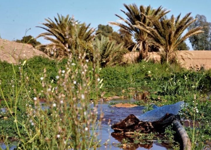 توقعات طقس اليوم السبت