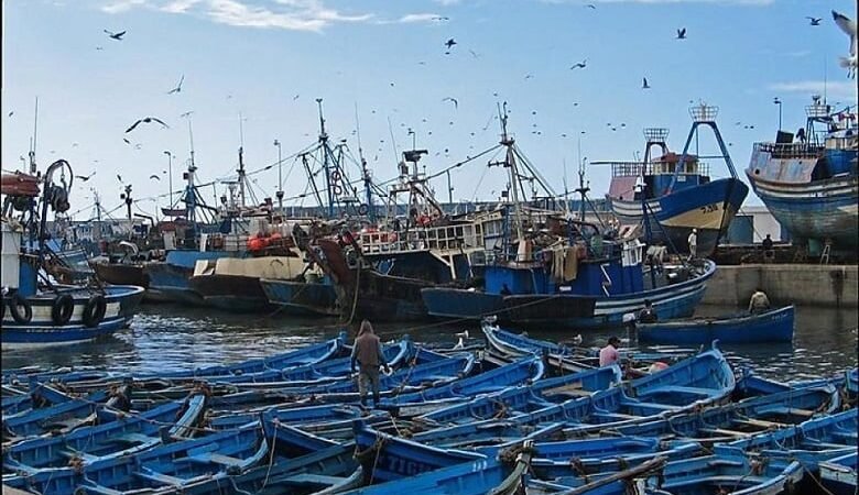 مفرغات الصيد تنخفض بـ30% في الصويرة