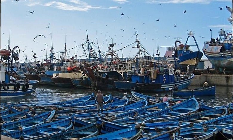 مفرغات الصيد تنخفض بـ30% في الصويرة