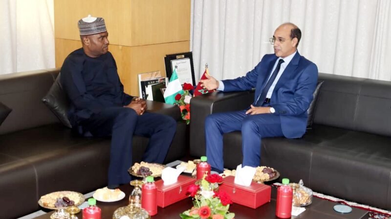 المغرب يتباحث مع نيجيريا لمكافحة الجريمة العابرة للحدود