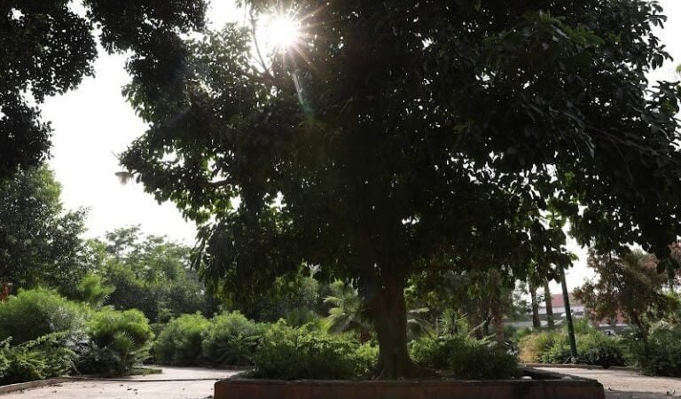 توقعات طقس اليوم الاثنين