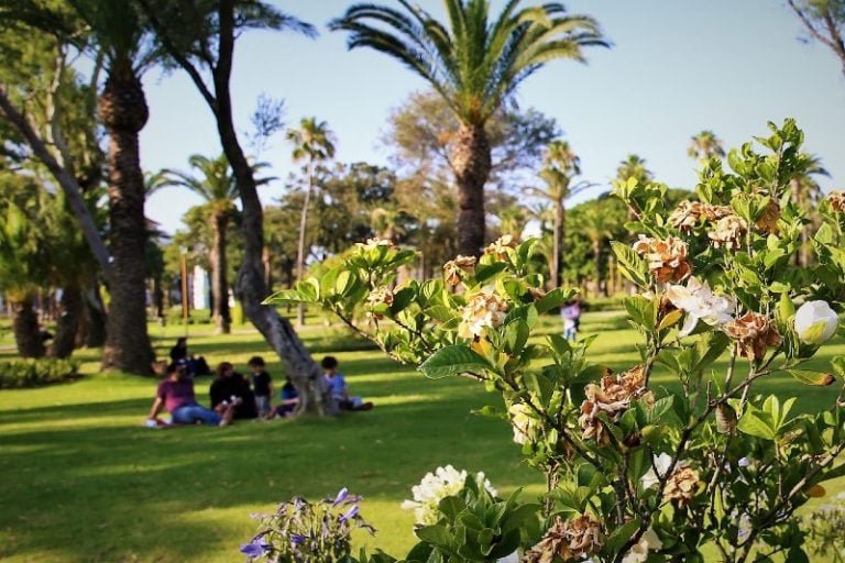 توقعات طقس اليوم الجمعة