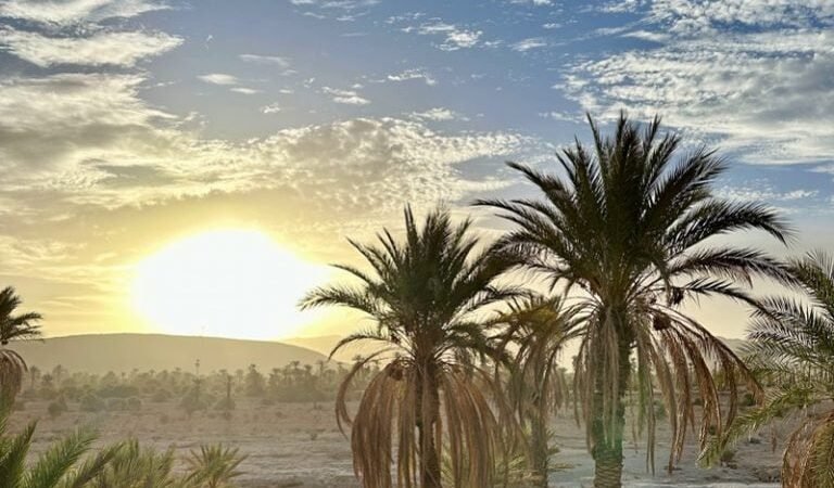 توقعات طقس اليوم السبت