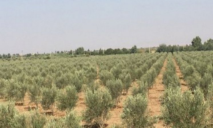 المستثمرون في الفلاحة يطالبون بتسهيل المساطر الإدارية بقلعة السراغنة