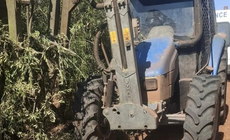 فاجعة..آلة جني زيتون تصرع شخصا بالرحامنة