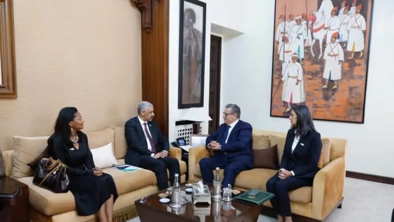 أخنوش يتباحث مع رئيس البنك الإفريقي