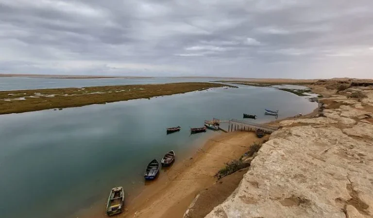 توقعات طقس اليوم الجمعة