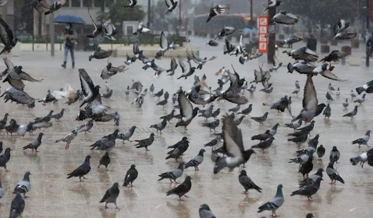 توقعات طقس اليوم الأحد