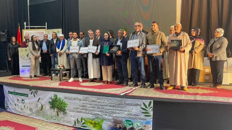 قلعة السراغنة تكتسح جوائز أجود زيوت الزيتون