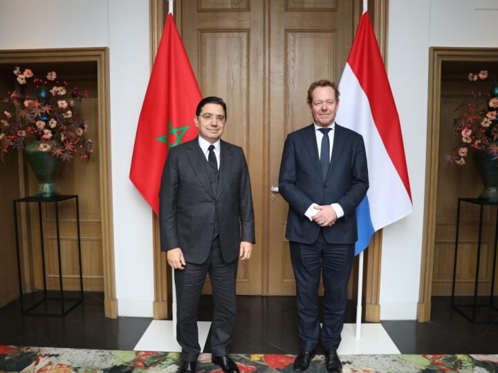 الأراضي المنخفضة تدعم الحكم الذاتي في الصحراء وتشيد بإصلاحات ومبادرات الملك محمد السادس