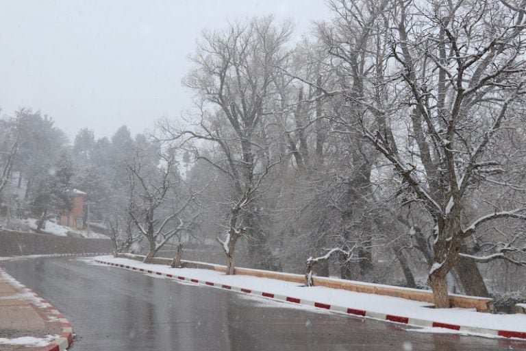 توقعات طقس اليوم الجمعة