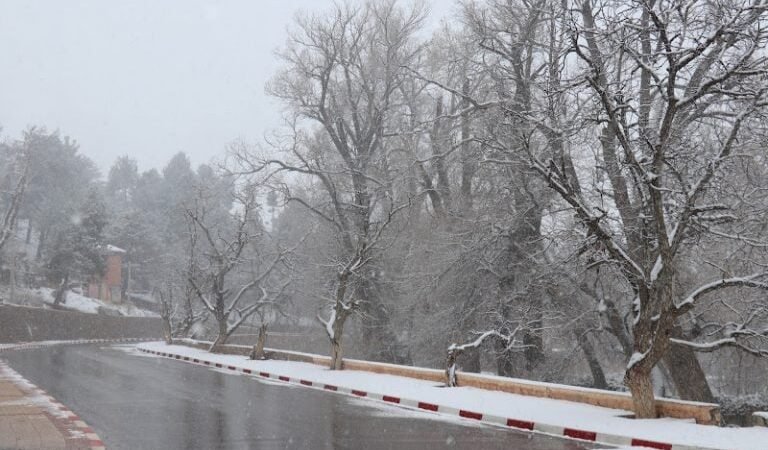 توقعات طقس اليوم الجمعة