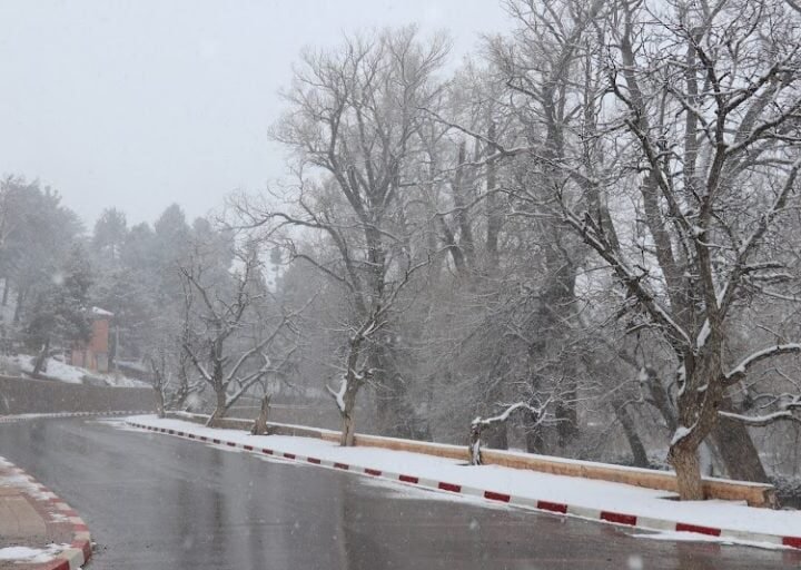 توقعات طقس اليوم الأحد