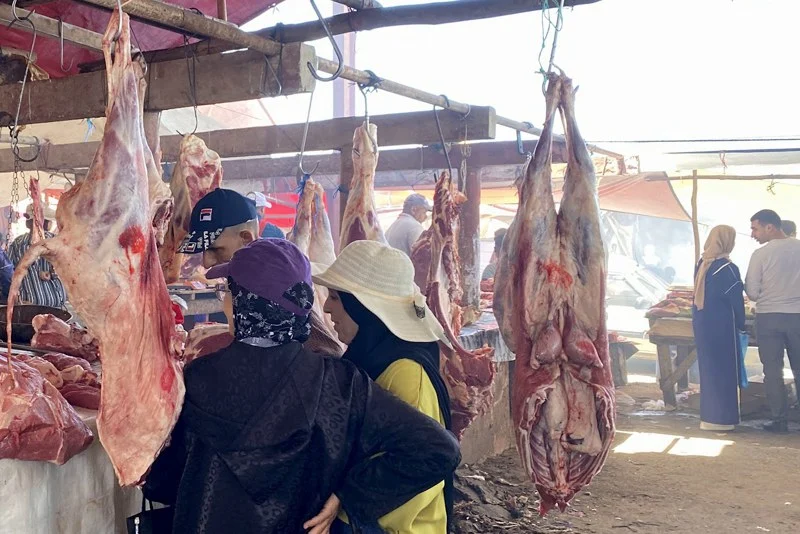 بعد تداول فيديو صادم..غياب النظافة بمجزرة يثير قلق جمعية حماية المستهلك بالرحامنة