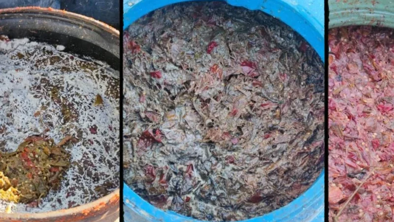 ملتمس بإعداد الدفاع يؤخر محاكمة 3 متهمين في قضية “الهريسة” الفاسدة بابن جرير