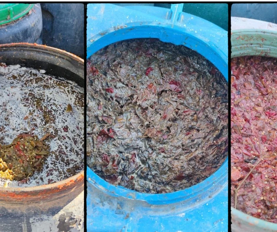 ملتمس بإعداد الدفاع يؤخر محاكمة 3 متهمين في قضية “الهريسة” الفاسدة بابن جرير