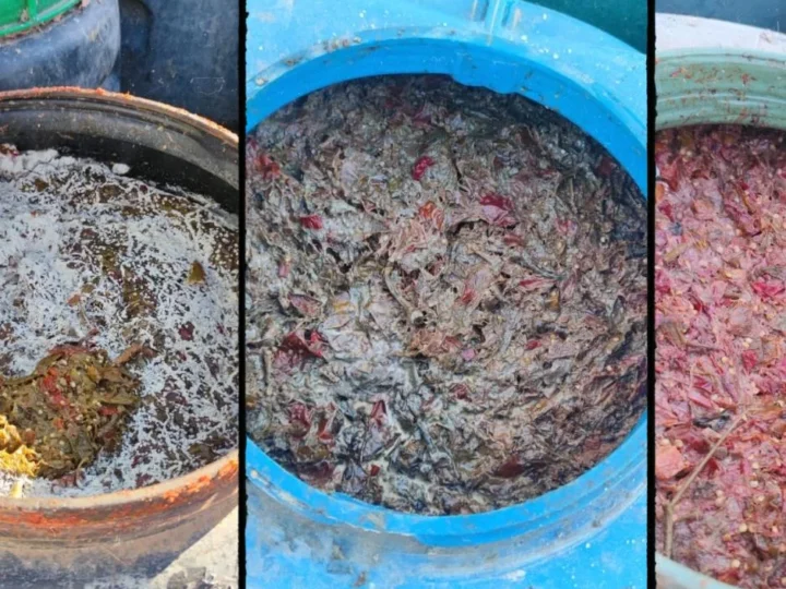 اعتقال مالك مصنع مصبرات بشبهة إعداد مواد غذائية في ظروف غير صحية بقلعة السراغنة