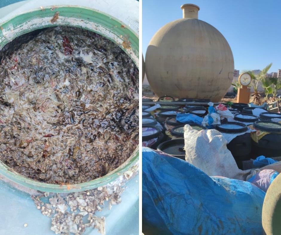 تشميع مصنع مصبرات وإتلاف 500 برميل من المواد الغذائية الفاسدة بقلعة السراغنة