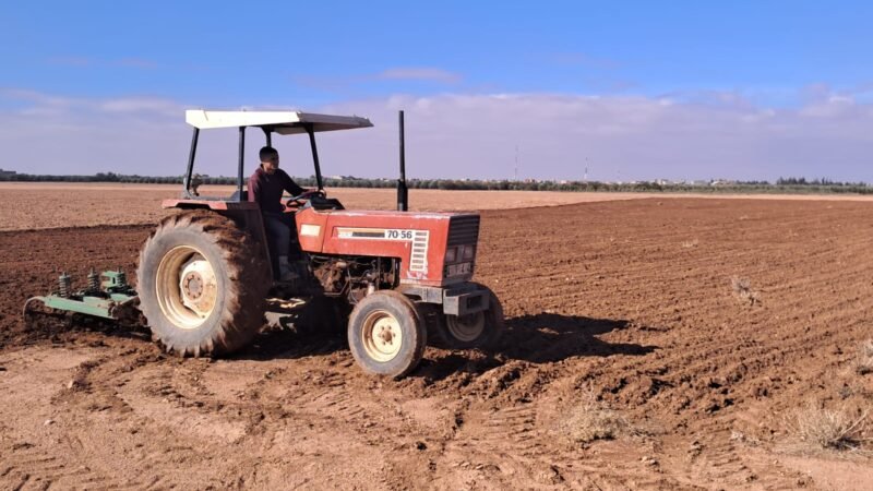 الأمطار تنعش آمال فلاحي قلعة السراغنة