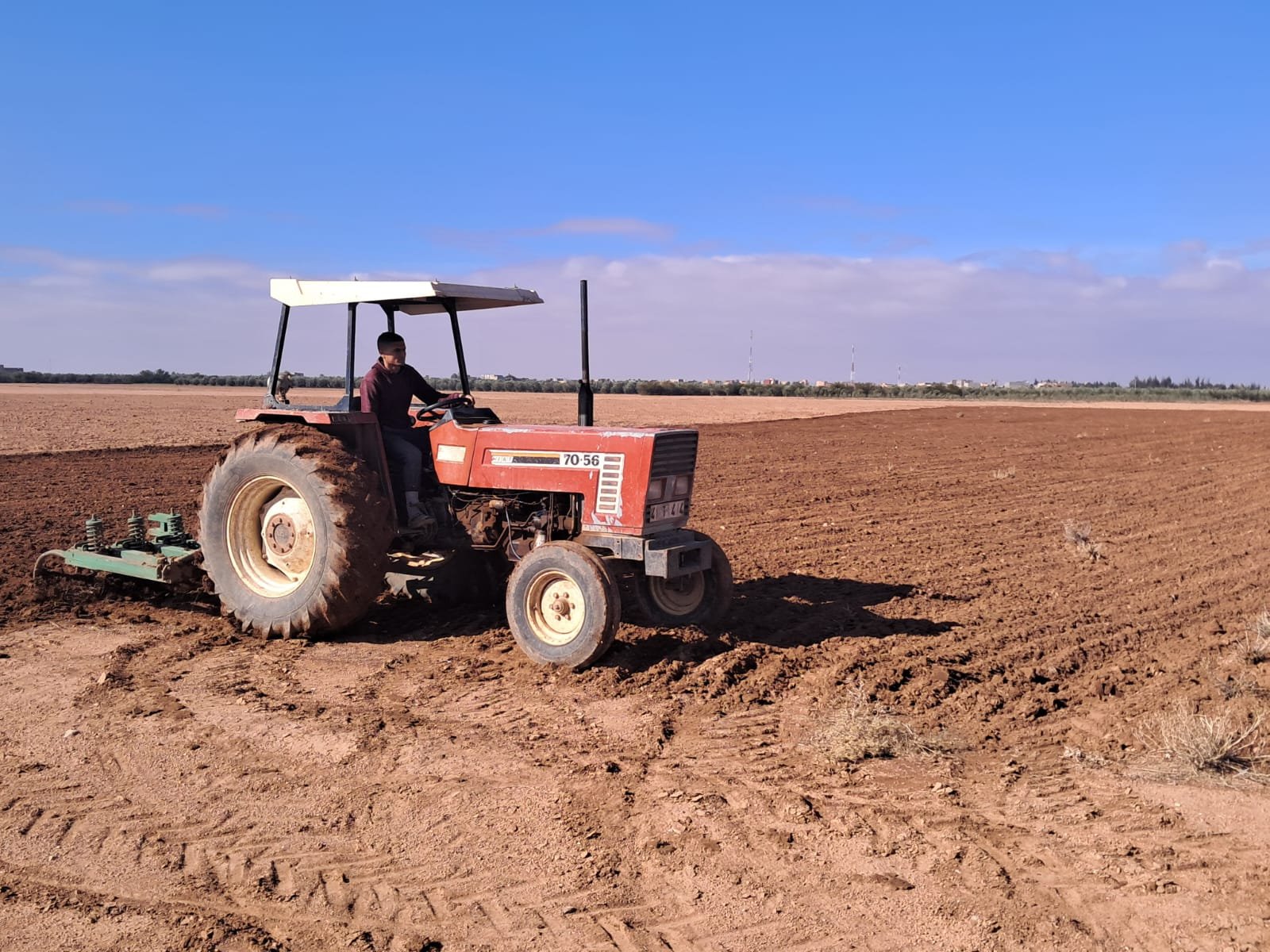 الأمطار تنعش آمال فلاحي قلعة السراغنة