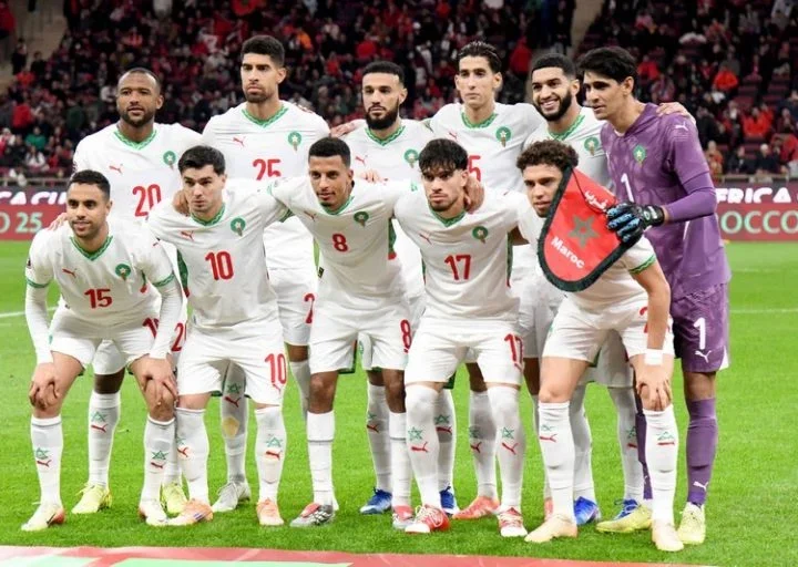 الأسود يواجهون تانزانيا في ثمن نهائي “الكان”