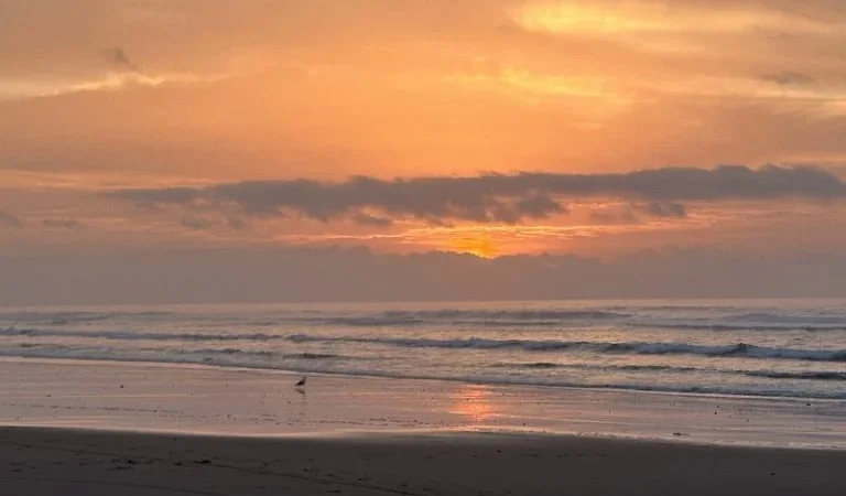 توقعات طقس اليوم الجمعة