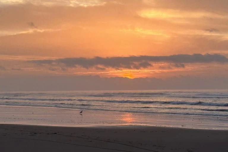 توقعات طقس اليوم الجمعة