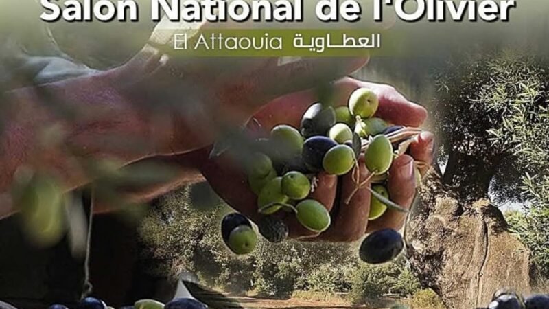 العطاوية تحتضن المعرض الوطني للزيتون